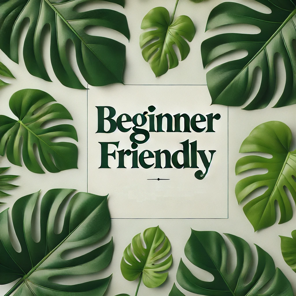 Beginner Friendly Plants