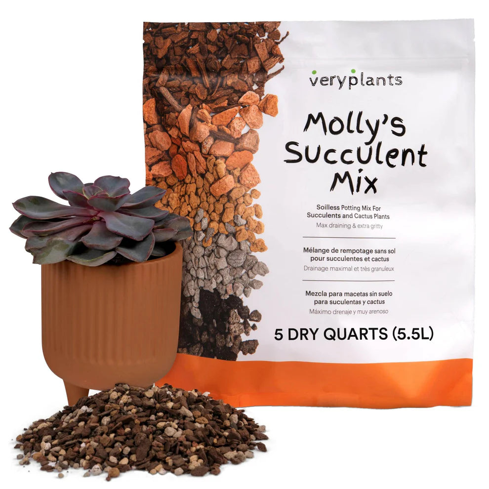 Molly's Succulent Mix - Premium Gritty Soilless Potting Mix for Succulents, Cactus and Bonsai