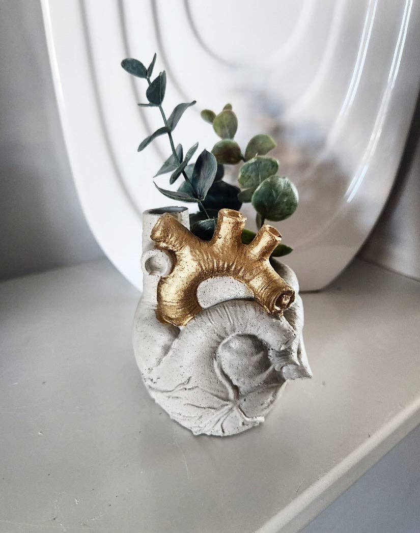 Anatomical Heart Air Plant Pot