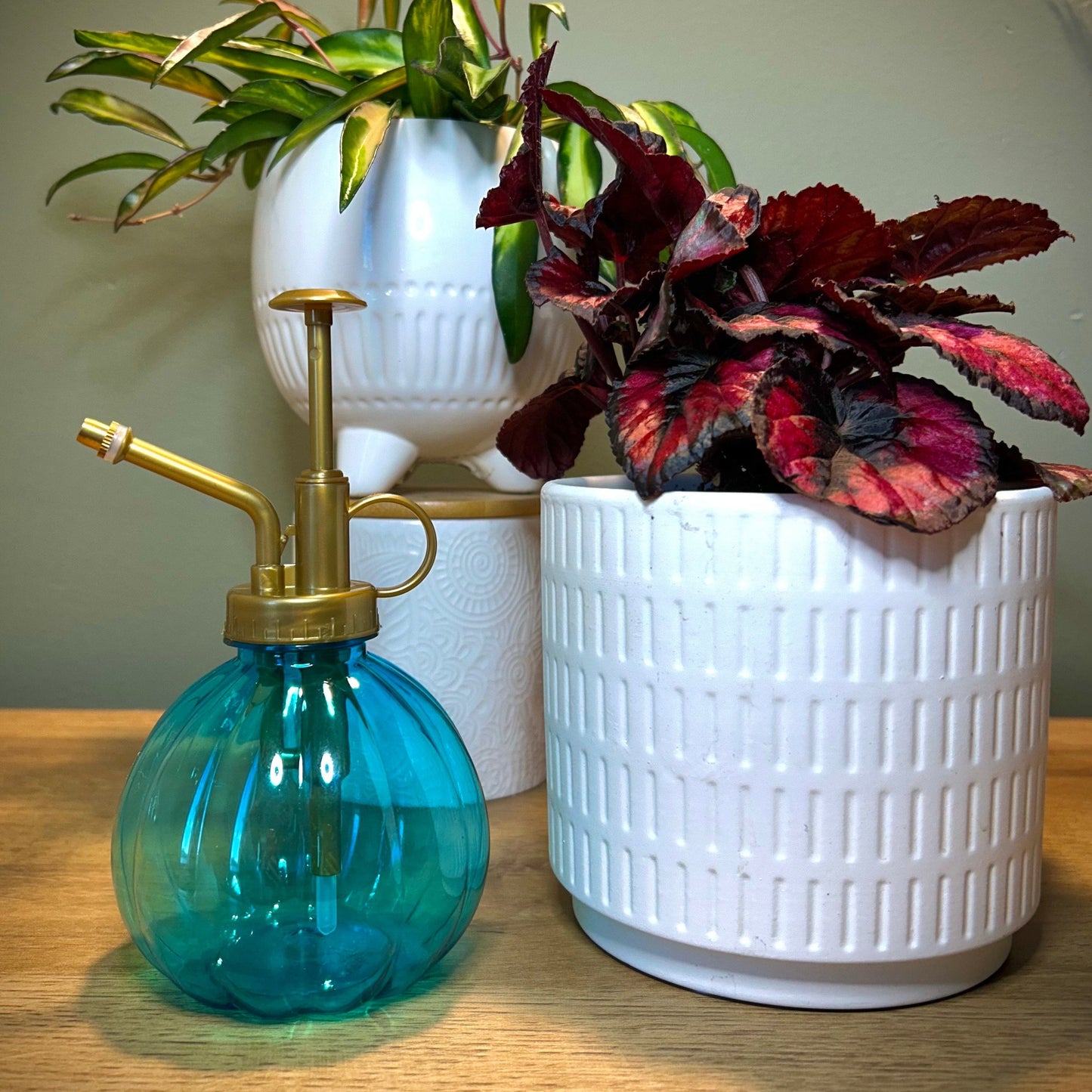 Vintage-Inspired Plastic Plant Mister
