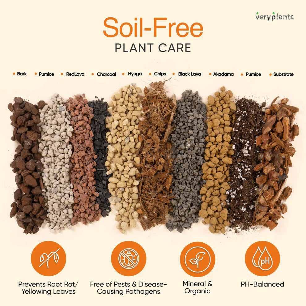 Molly's Succulent Mix - Premium Gritty Soilless Potting Mix for Succulents, Cactus and Bonsai