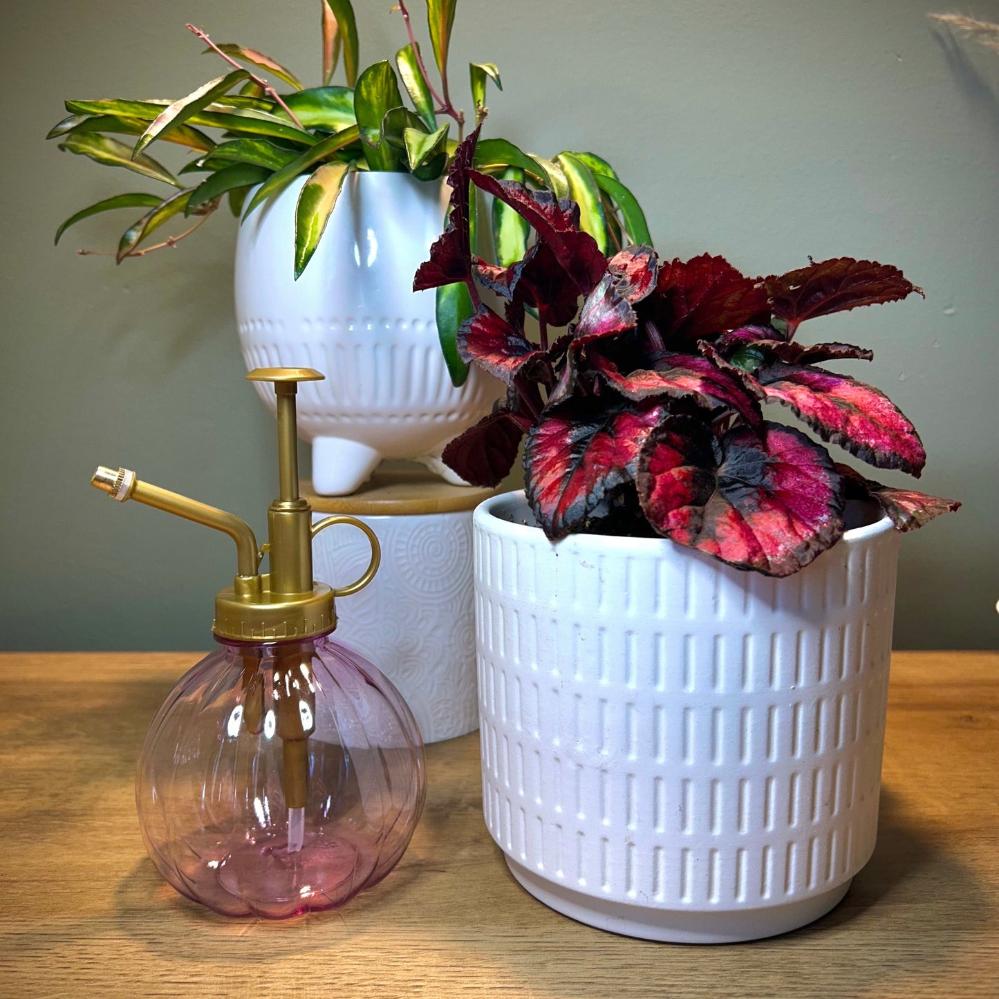 Vintage-Inspired Plastic Plant Mister