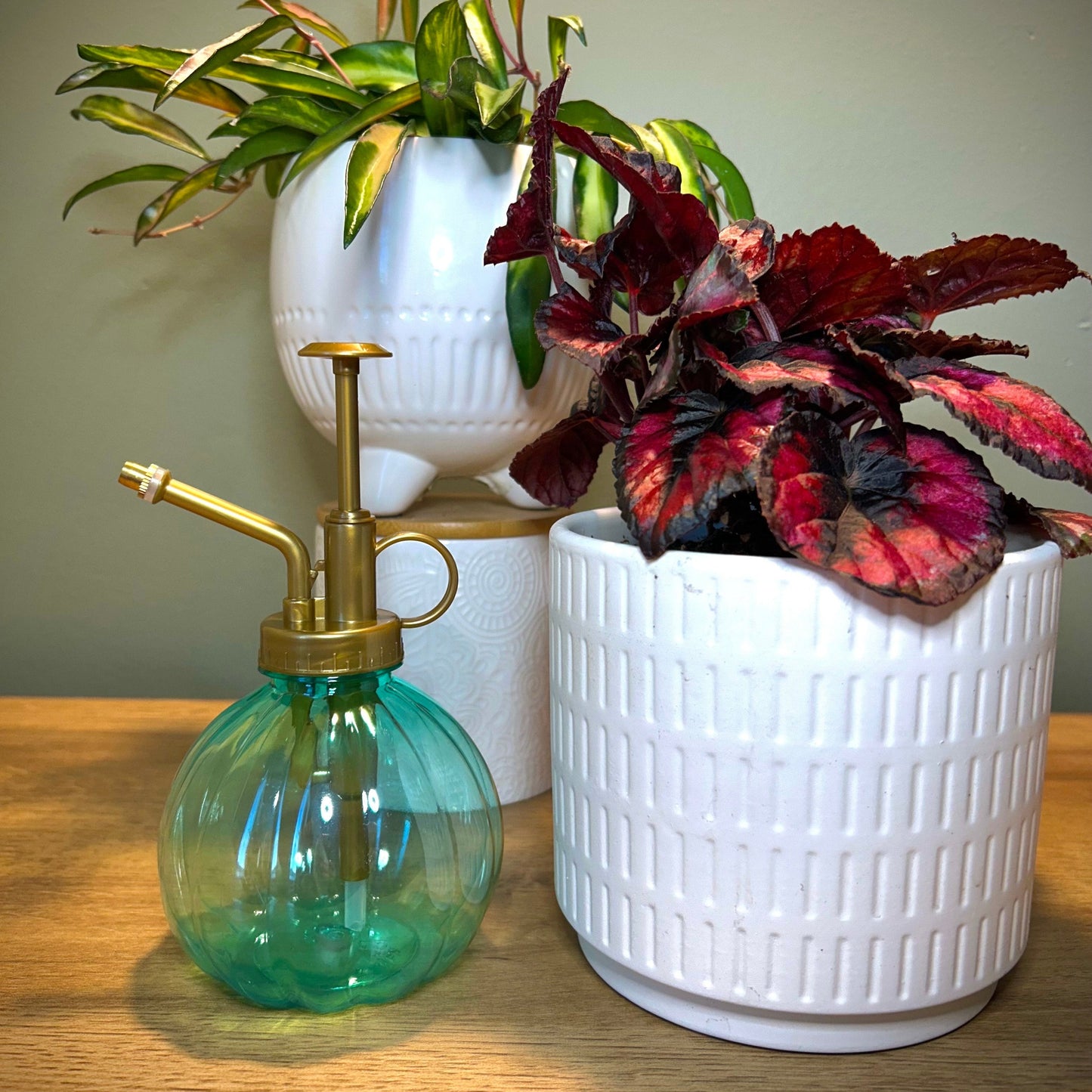 Vintage-Inspired Plastic Plant Mister