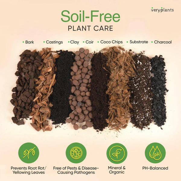 Molly's Aroid Mix -Premium Tropical Plant Soilless Potting Mix