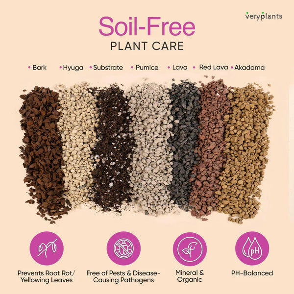 Molly's Orchid Mix - Premium Soilless Orchid Potting Mix