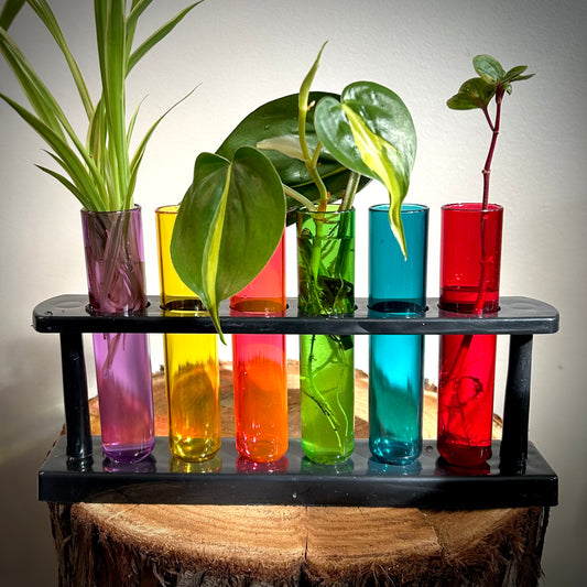 Rainbow Propagation Station
