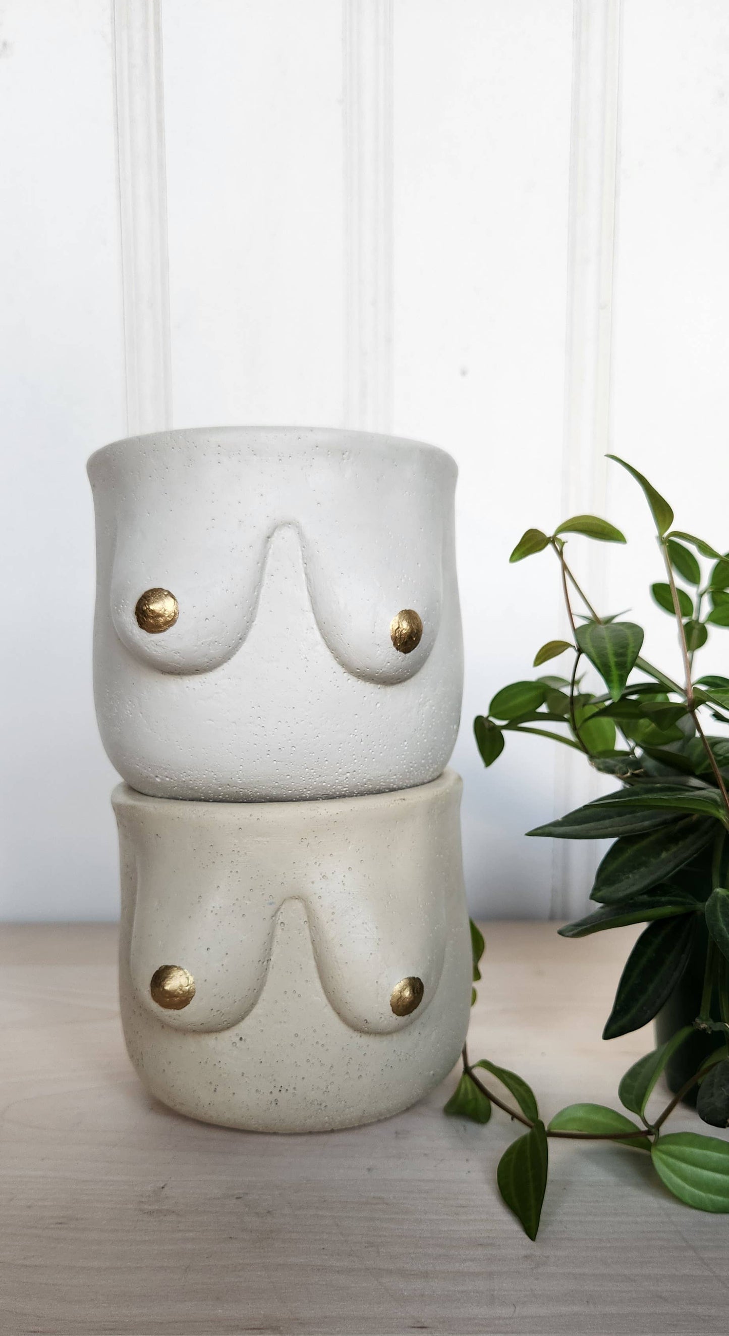 Golden Boobie Pot