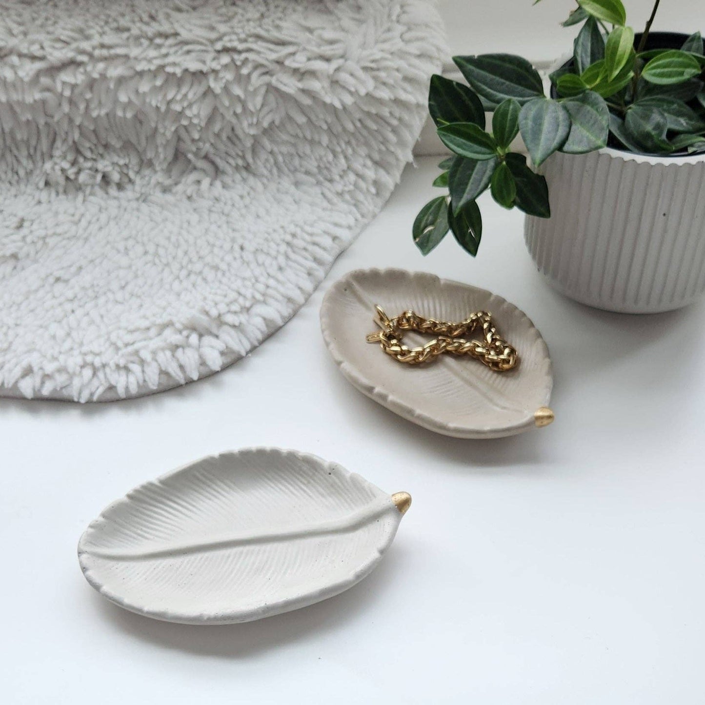 Peperomia Tray
