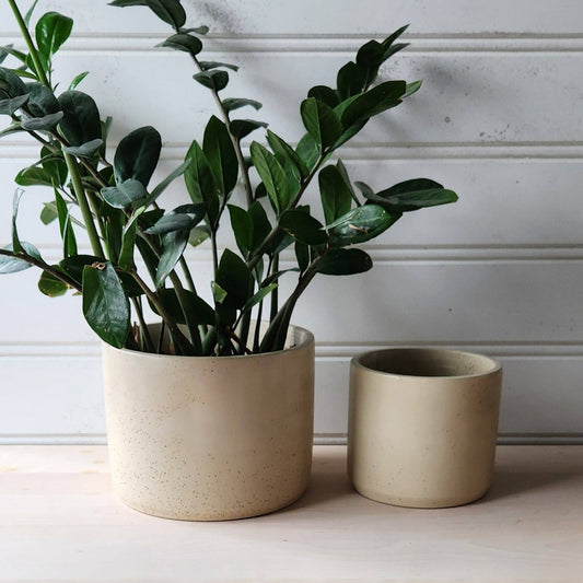 Concrete Cylinder Planter - Cream
