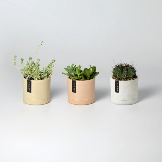 3.5" Earth Tone Mini Planter