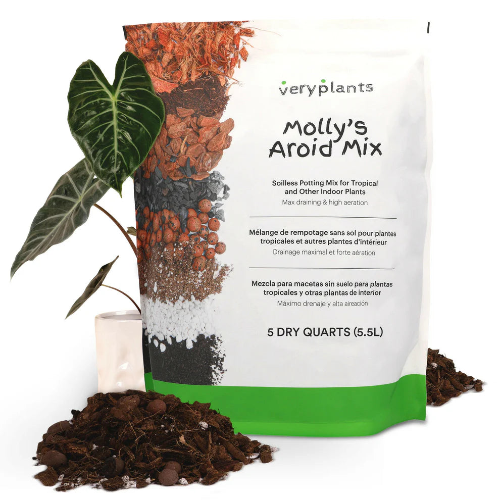 Molly's Aroid Mix -Premium Tropical Plant Soilless Potting Mix