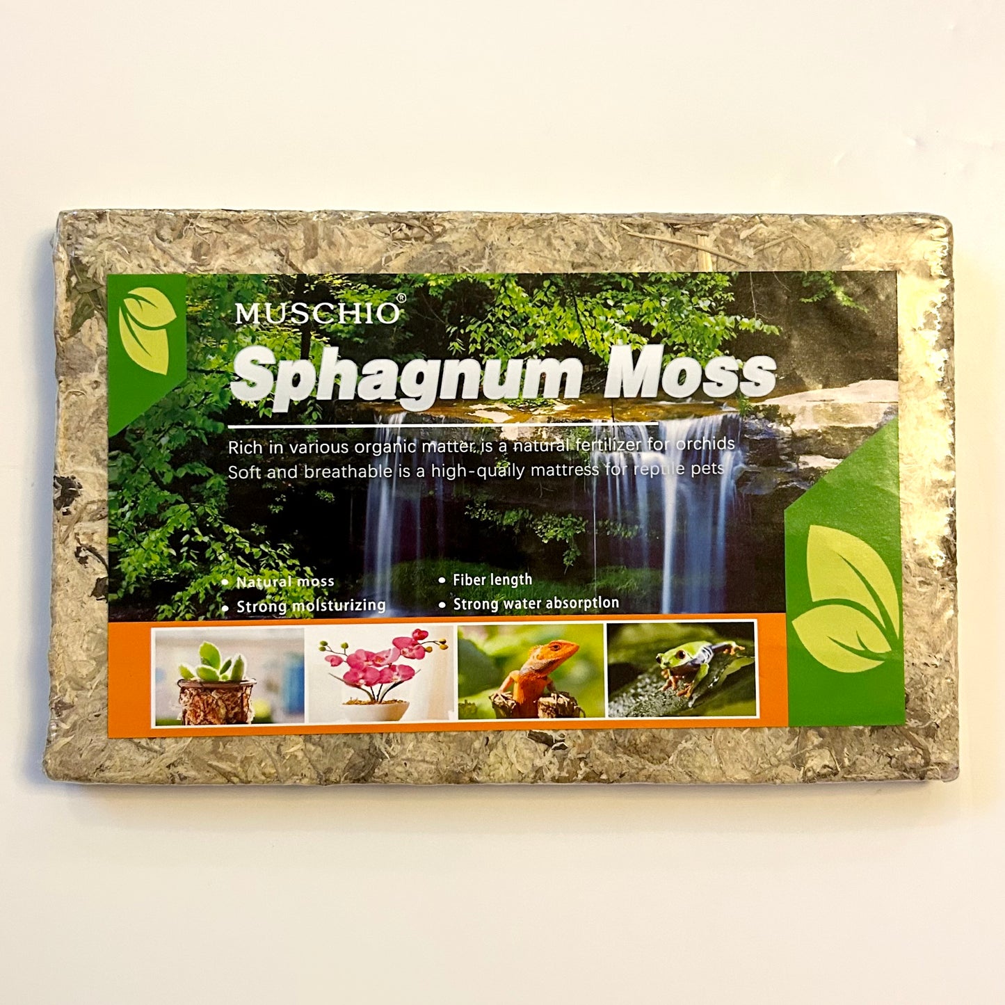 Sphagnum Moss
