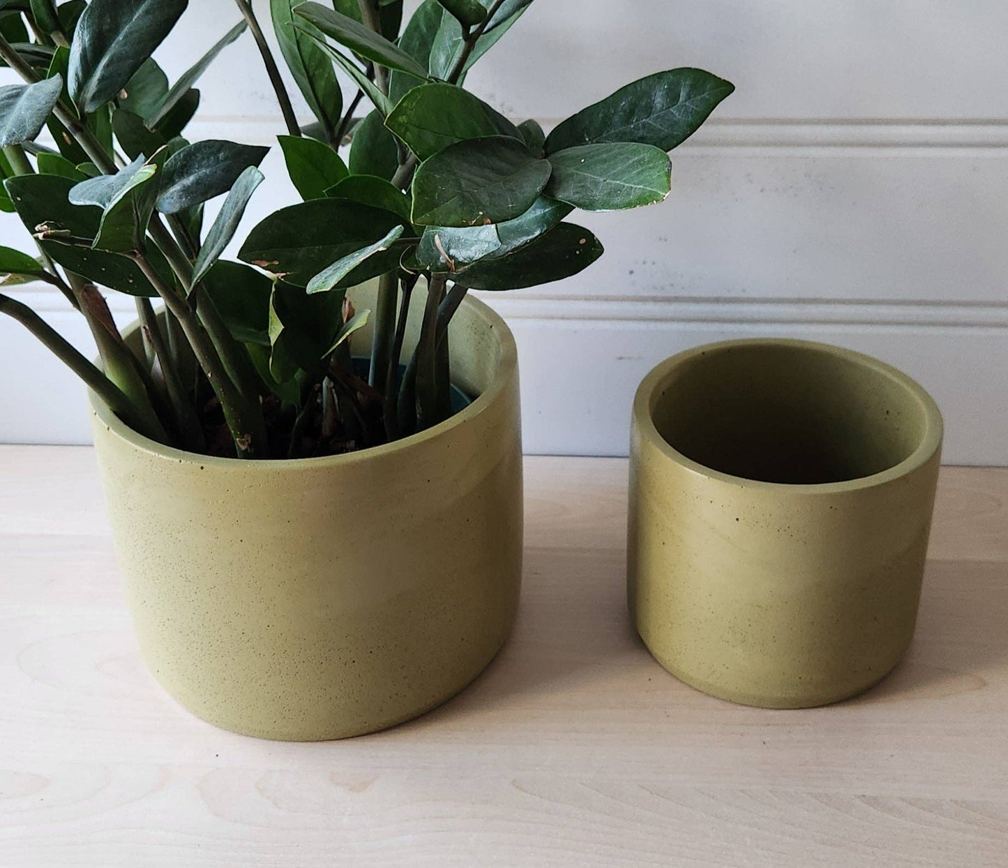 Concrete Cylinder Planter - Chartreuse