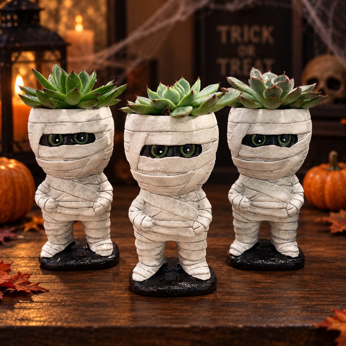 Mummy Pot with 2” Succulent in Nursery Pot (Assorted)