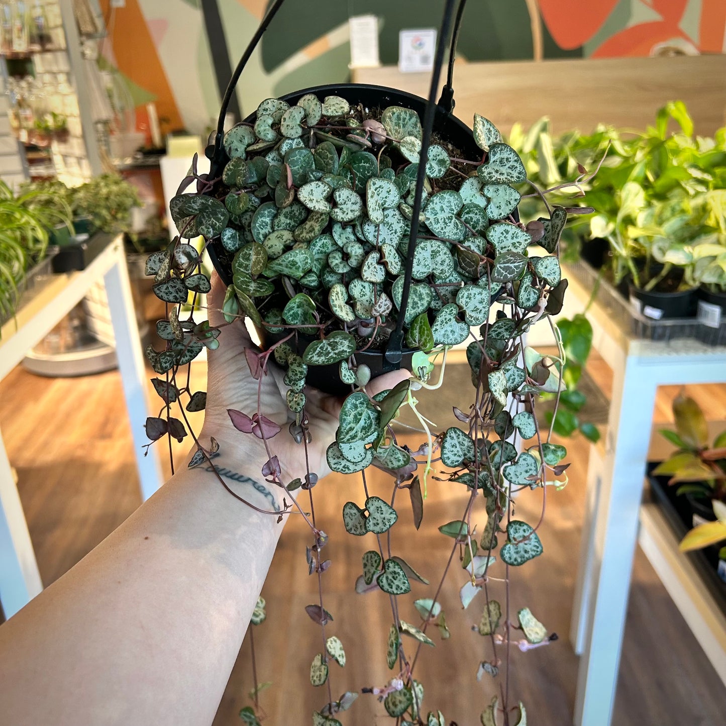 String of Hearts