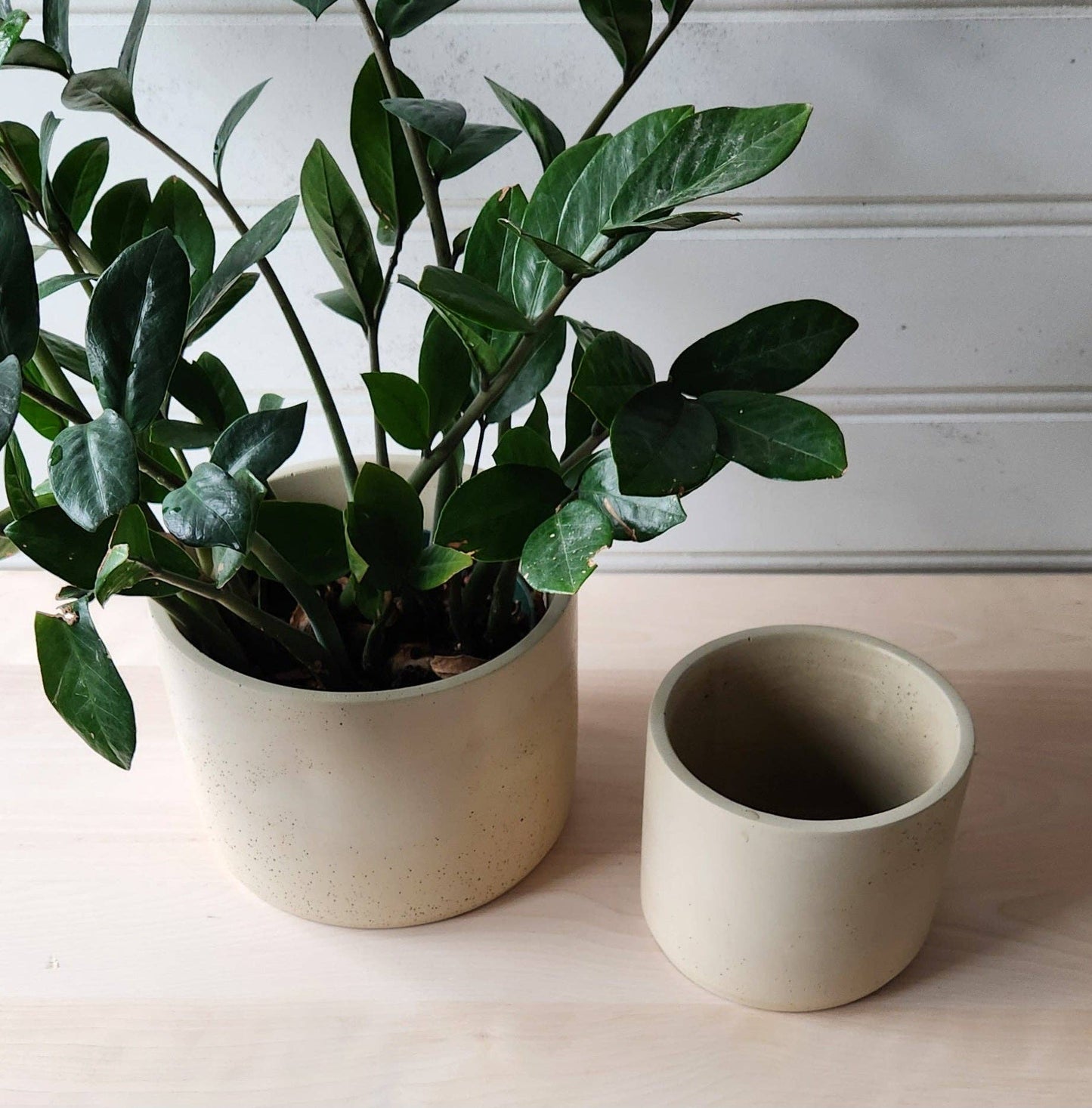 Concrete Cylinder Planter - Cream