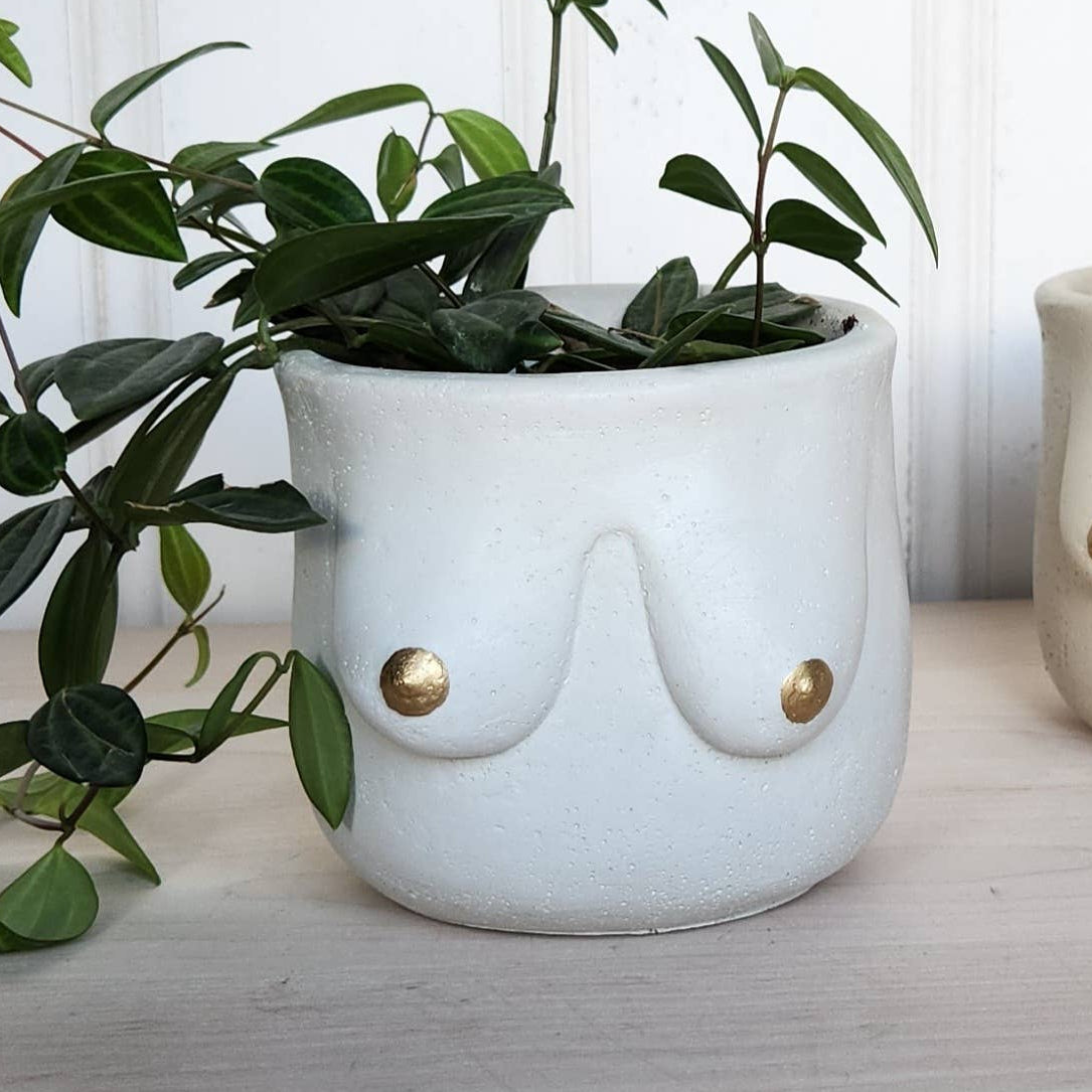 Golden Boobie Pot