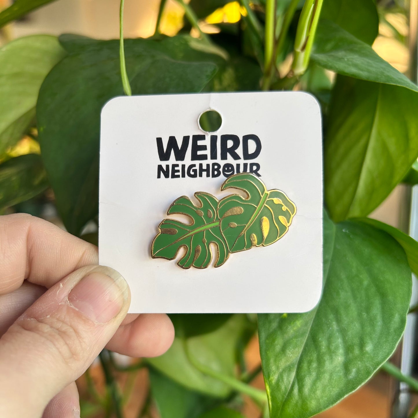 Monstera Leaf Enamel Pin