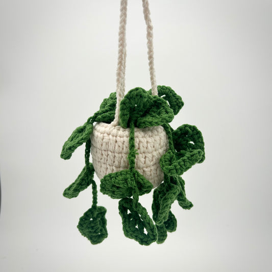 Crochet Hanging Plant