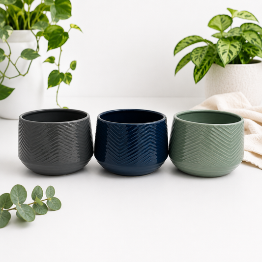 5” Celeste Pot