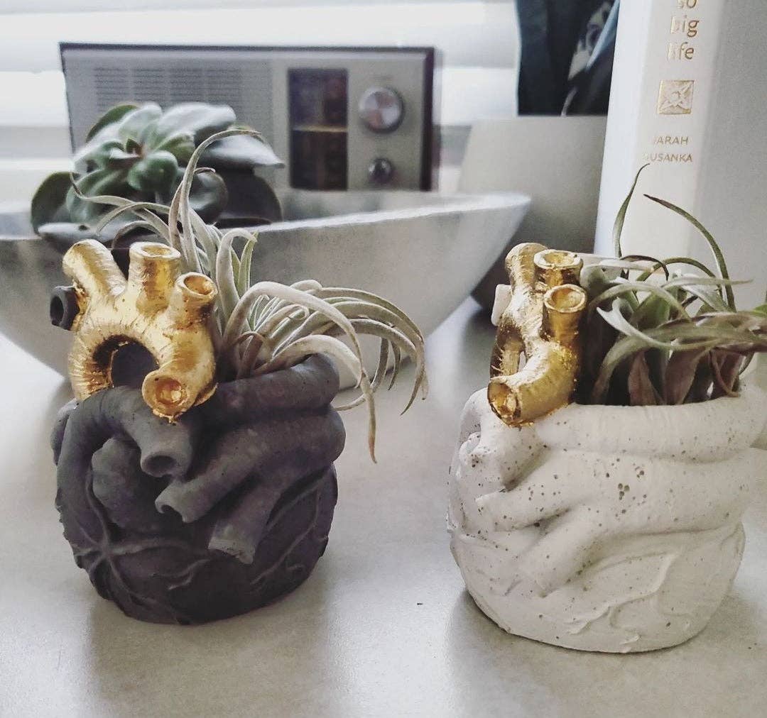 Anatomical Heart Air Plant Pot