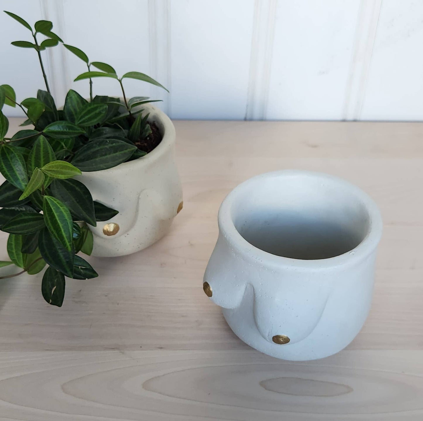 Golden Boobie Pot