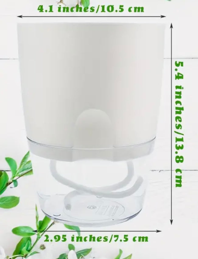 Self-Watering Pot