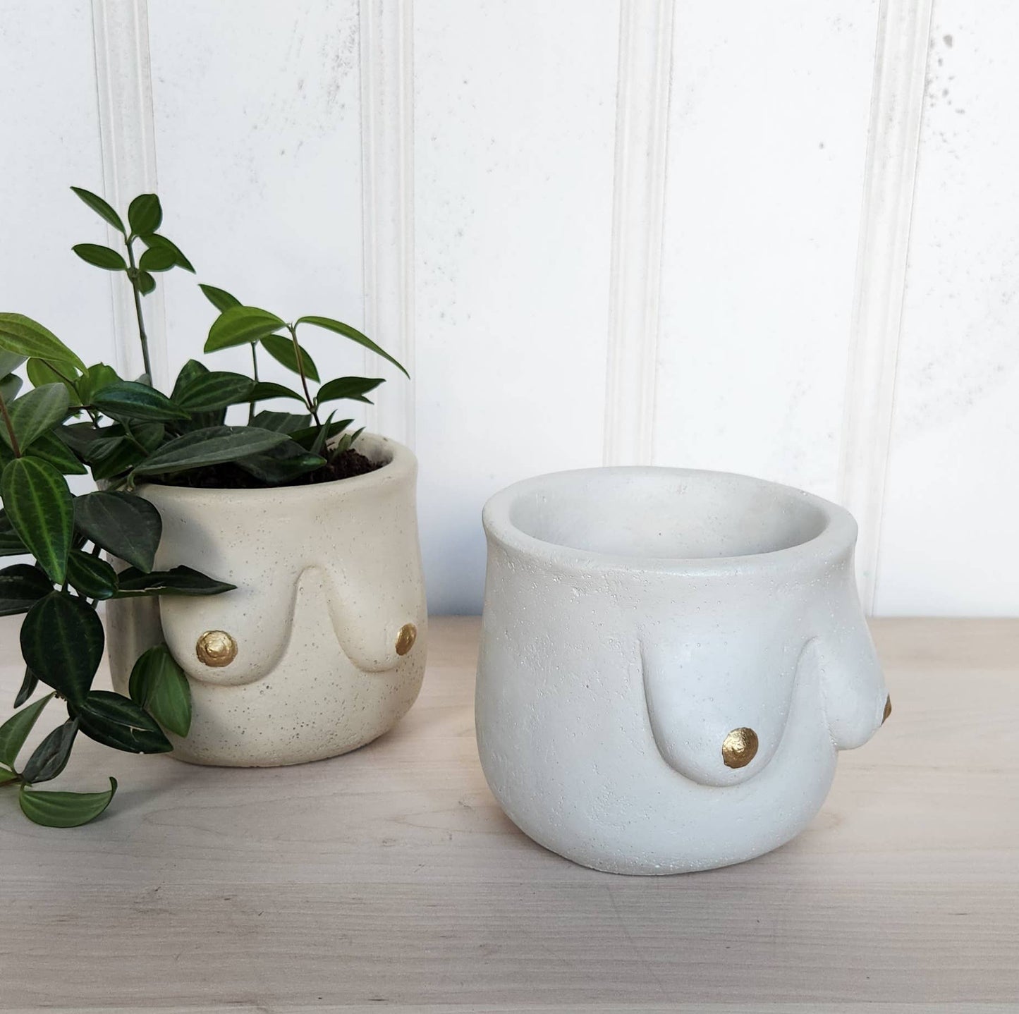 Golden Boobie Pot