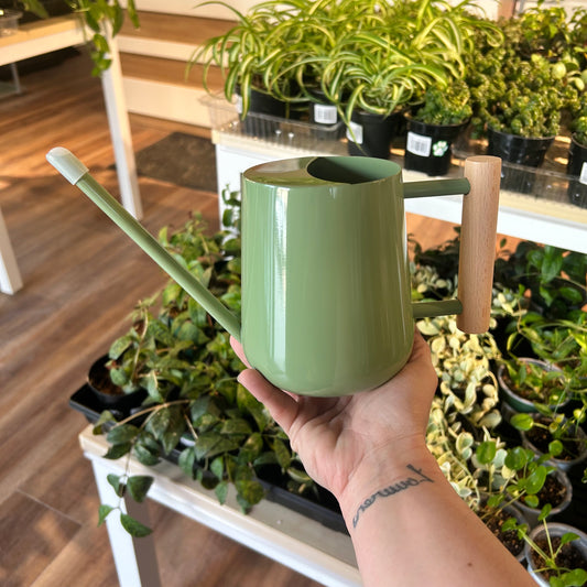 1 Litre Watering Can