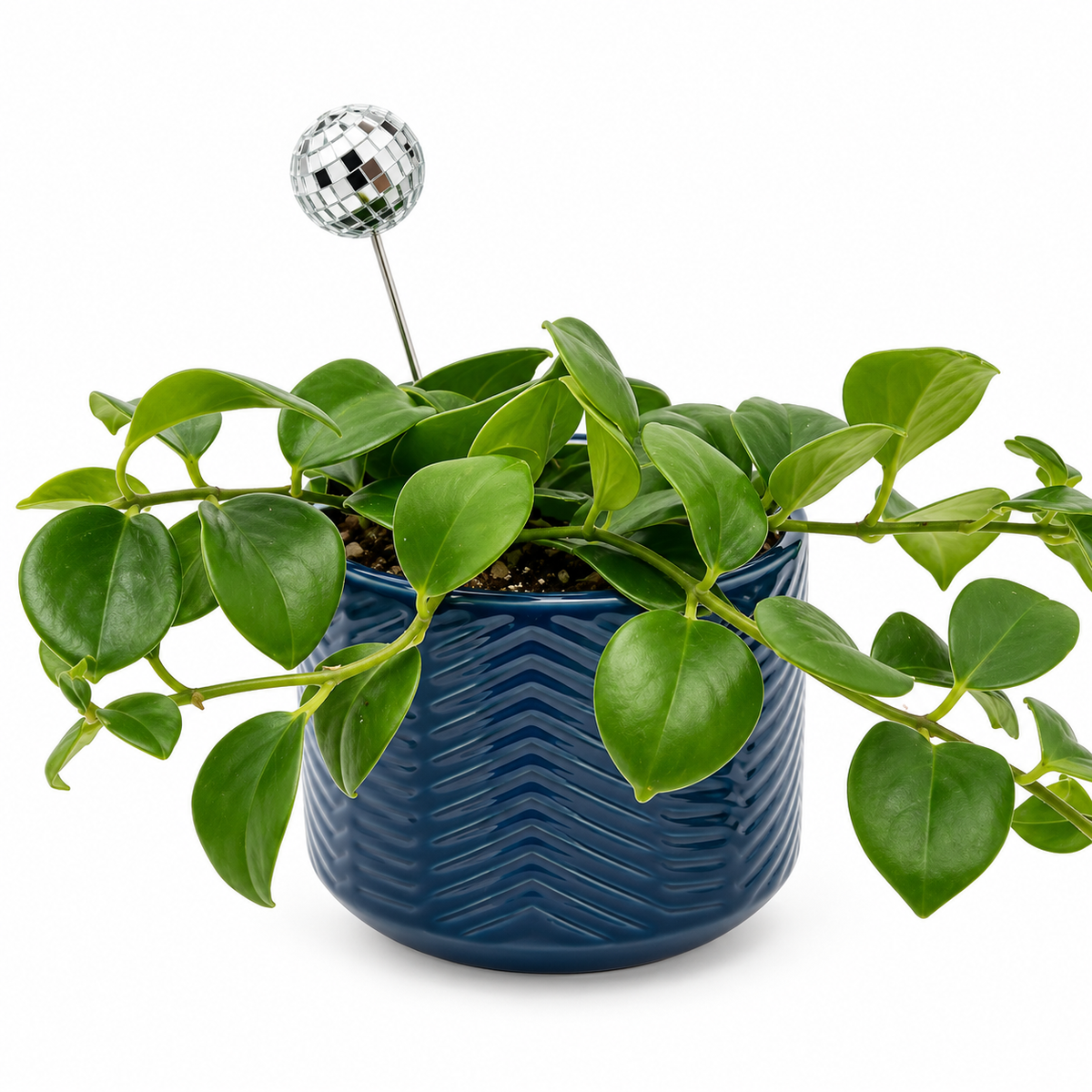 Disco Ball Plant Charm