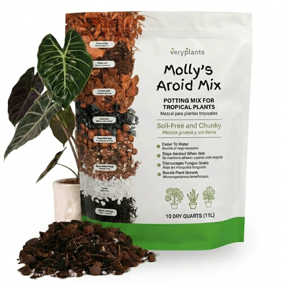 Molly's Aroid Mix -Premium Tropical Plant Soilless Potting Mix
