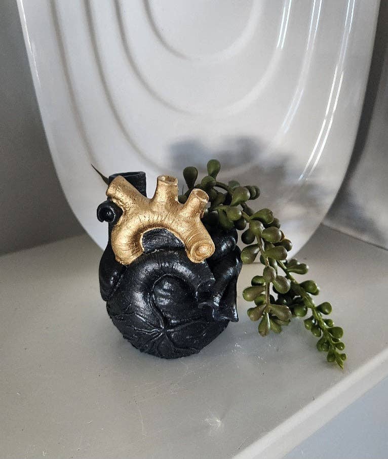 Anatomical Heart Air Plant Pot
