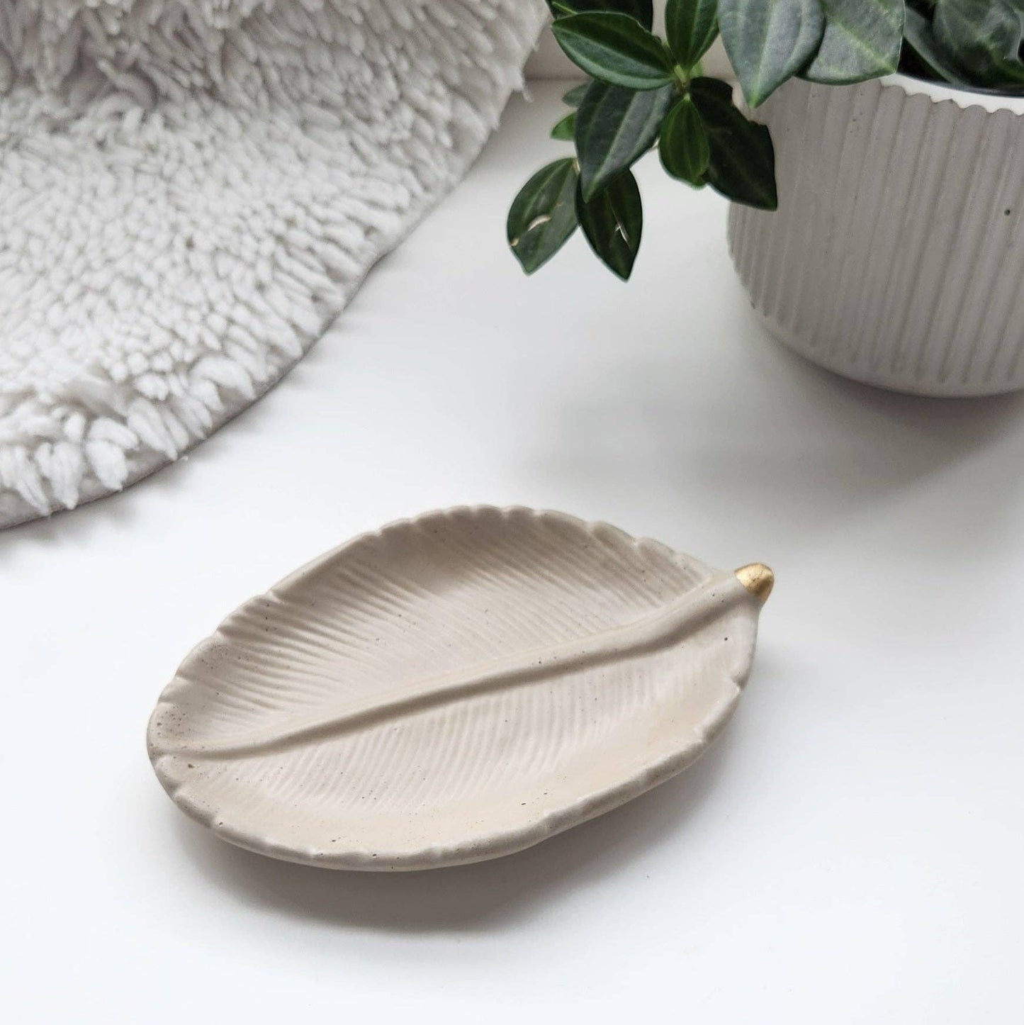 Peperomia Tray