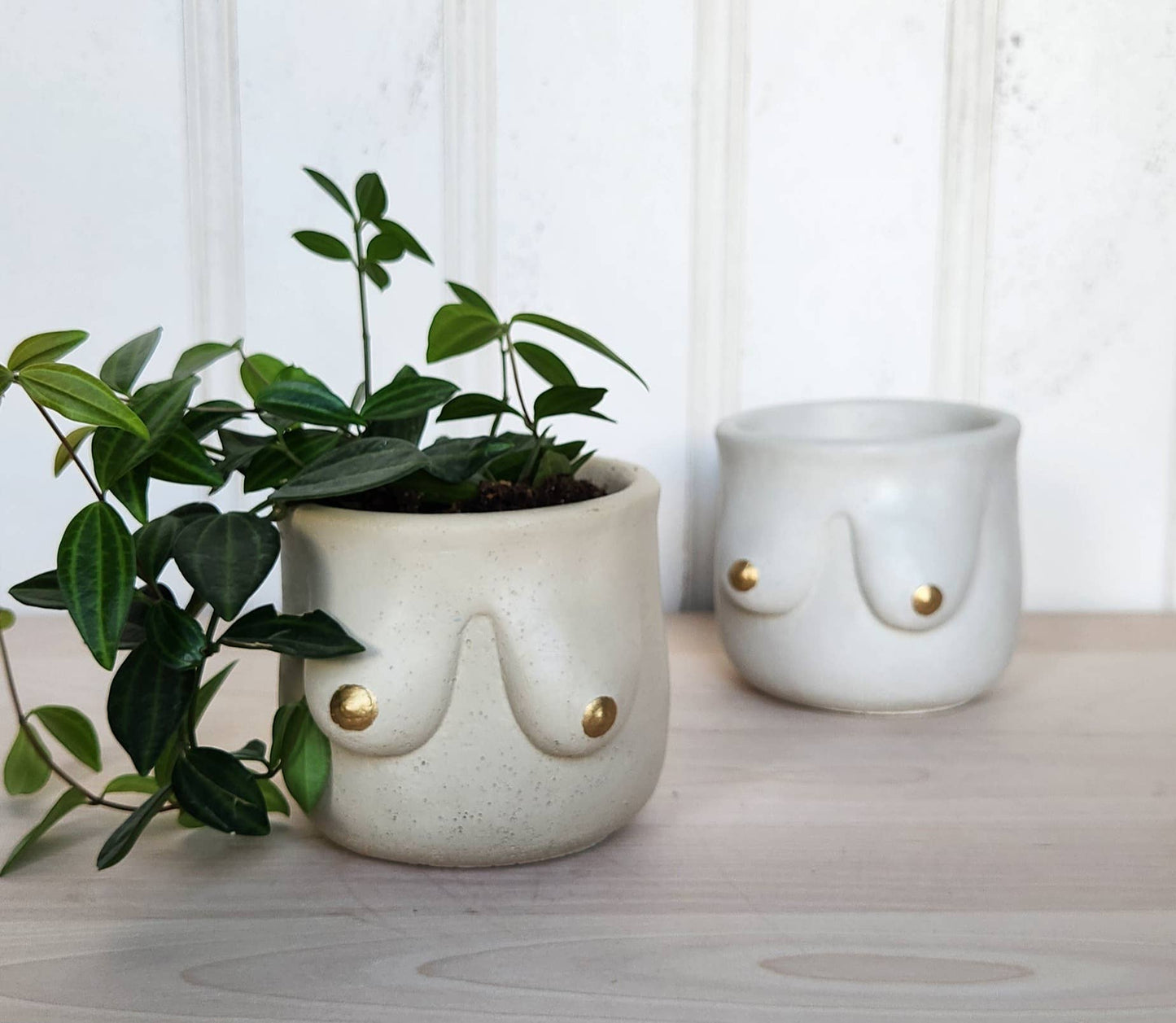 Golden Boobie Pot