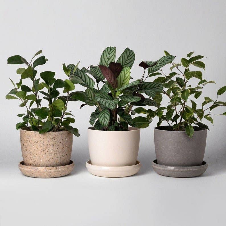 7" Upcycled Plant Pot