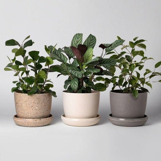 7" Upcycled Plant Pot