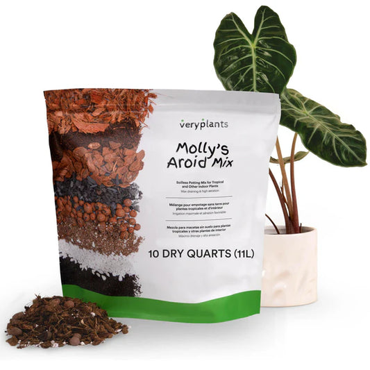 Molly's Aroid Mix -Premium Tropical Plant Soilless Potting Mix